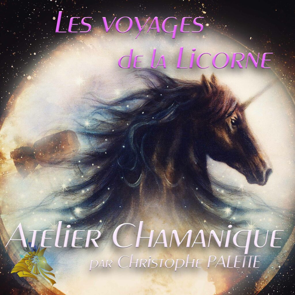 Atelier Chamanique - Le Voyage de la Licorne Carré Christophe Palette