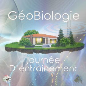 Journée d'entrainement Géobiologie Christophe Palette