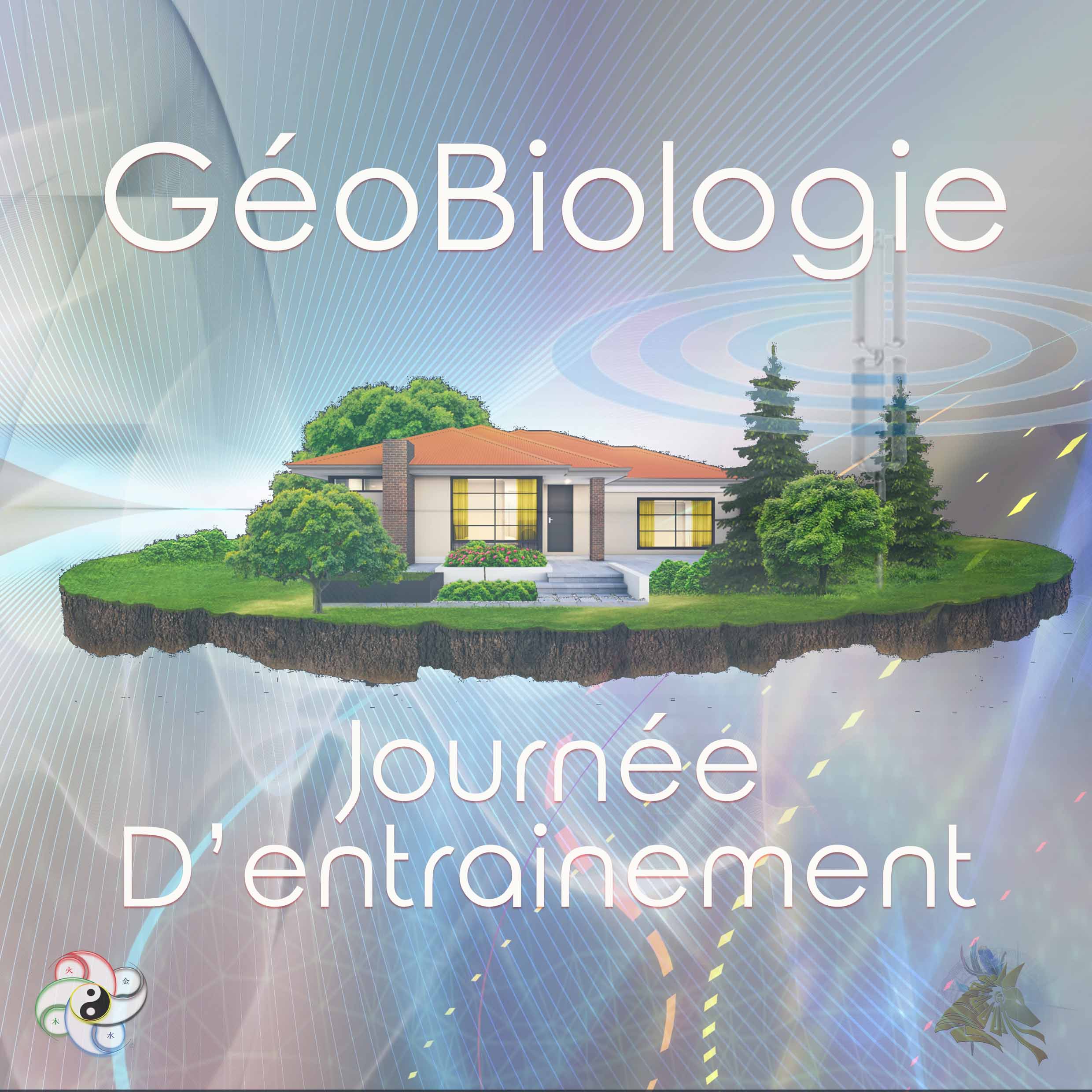Journée d'entrainement Géobiologie Christophe Palette